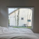 스테이인숲 네이버블로그