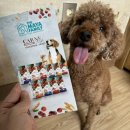 카니코리아 이미지