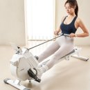 효과적인 체지방 감량 이미지