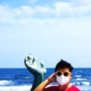 연오랑세오녀 테마공원 이미지