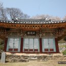 선국사 대북 이미지