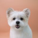 나봄스파 이미지