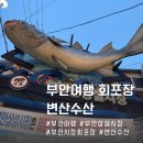 부안상설시장 | 부안 여행 부안상설시장 회포장 변산수산 솔직후기