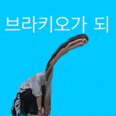 제목미정