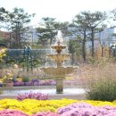3450 이미지