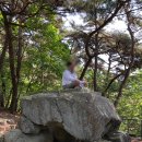 다곡 1 용반경로당 | [구미] 아도화상의 자취를 담은 신라 최초의 가람, 도리사 - 극락전 / 화엄석탑 / 아도화상 좌선대...