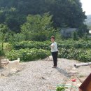 강촌이모네 이미지