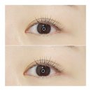 블랙스완래쉬 이미지