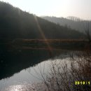 따스하개 이미지