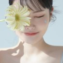 모멘티드 네이버블로그
