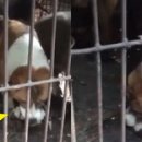 엄마 농장 이미지