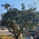 충렬사 입구 이미지