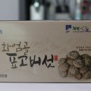 표담 이미지