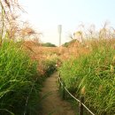 하늘공원 화장실 이미지