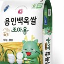 용인시농협쌀조합공동사업법인 | 용인특례시, 경로당 이어 복지관 5곳에 ‘백옥쌀’ 지원