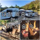이안카라반 이미지