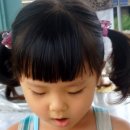 다휘 이미지