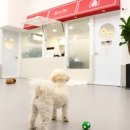 리츠펫(송도점) 이미지