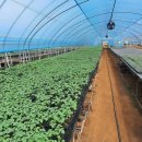 예광농장 이미지