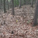 종보농장 이미지