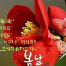 오늘도보리밥 네이버블로그