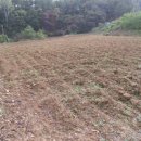 청암행정사사무소 이미지