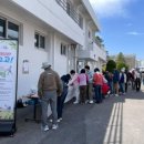 담장너머 이미지