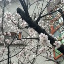 인천 산후도우미 추천 추가비용 없이 대만족 후기(참사랑어머니회남인천점)