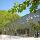 감자꽃스테이 이미지