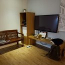 티무인텔 이미지