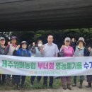 제주위미농업협동조합 이미지