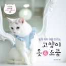 책고양이 이미지