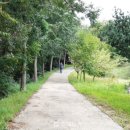 달무리수변공원B 이미지