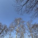 국민가수 노래연습장 | 국민가수의 마지막 콘서트 <나는 임재범이다> 직관 후기