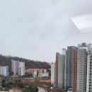 신광공인중개사사무소 이미지