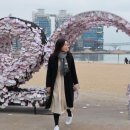 스튜디오멜란지 이미지