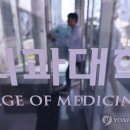 267 이미지