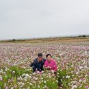 가파초등학교 이미지