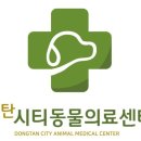 동탄시티동물의료센터 이미지