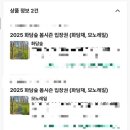 담양이비인후과의원 | 2025년 3월 셋째주 일상 - 먹방 또 했네? 5월 여행 계획, 벚꽃마라톤 준비, 화이트데이, 아잉거맥주...