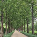 명성우렁이쌈밥 이미지