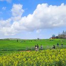 김영근 농장 이미지