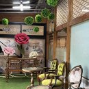 삼색보리샤브 이미지