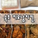 치요남속초