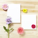 리빙플라워 이미지