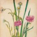 UR(경주시)-[경감로]-상-33 | 신라에 온 국민화가 박수근 특별전