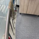 봉빈빌딩 이미지