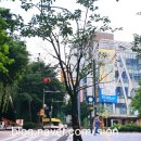 남산타운어린이도서관 | 남산타운어린이도서관: 소통형 독서프로그램 &lt;너에게 하고 싶은 이야기&gt; 강의 후기