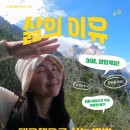 노형꿈틀도서관 이미지