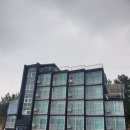 애견펜션 &lt;동해를 그리다&gt;솔직 후기